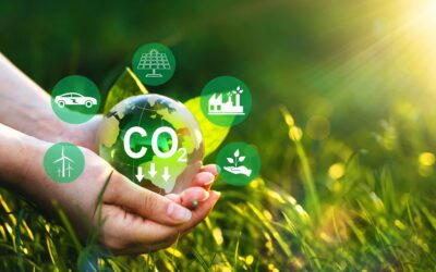 The Global Push for Net-Zero Emissions: Advantages of Embracing Decarbonization