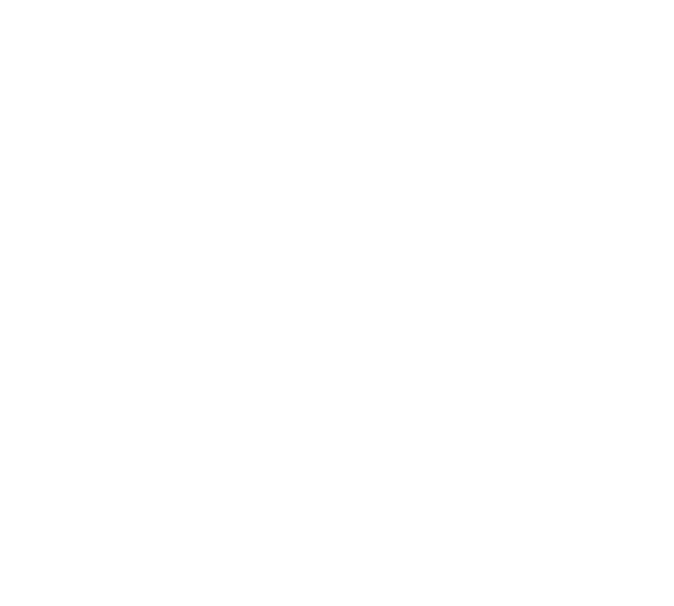 EV OM Service Icon