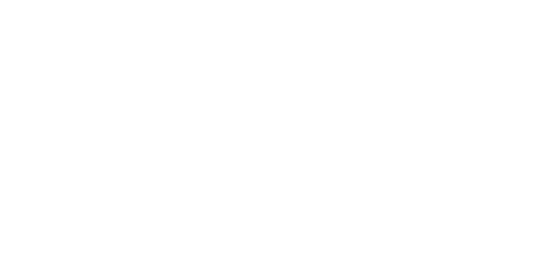 aee logo_grey NAESCO