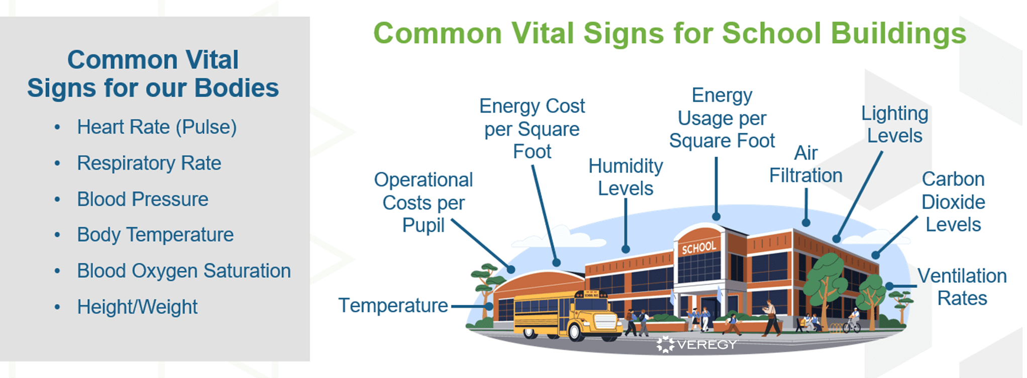 School Vital Signs