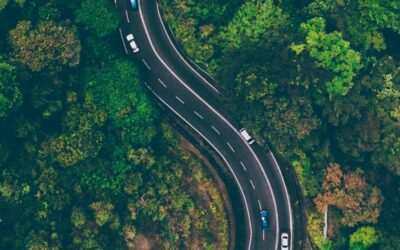 How to Build a Customized Decarbonization Roadmap